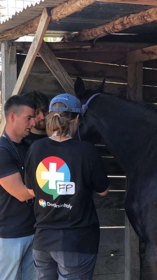 Animal Care program - Veterinary shadowing in Italy