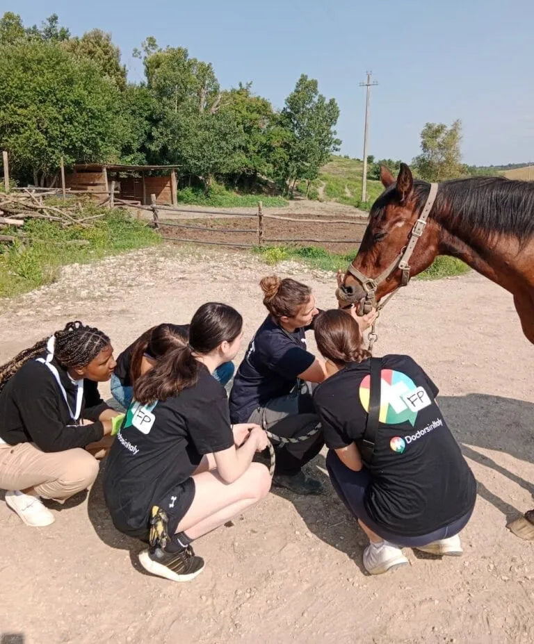 Rome Veterinary Health - Included Features