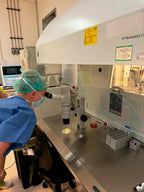 Arcadia University Course - Header