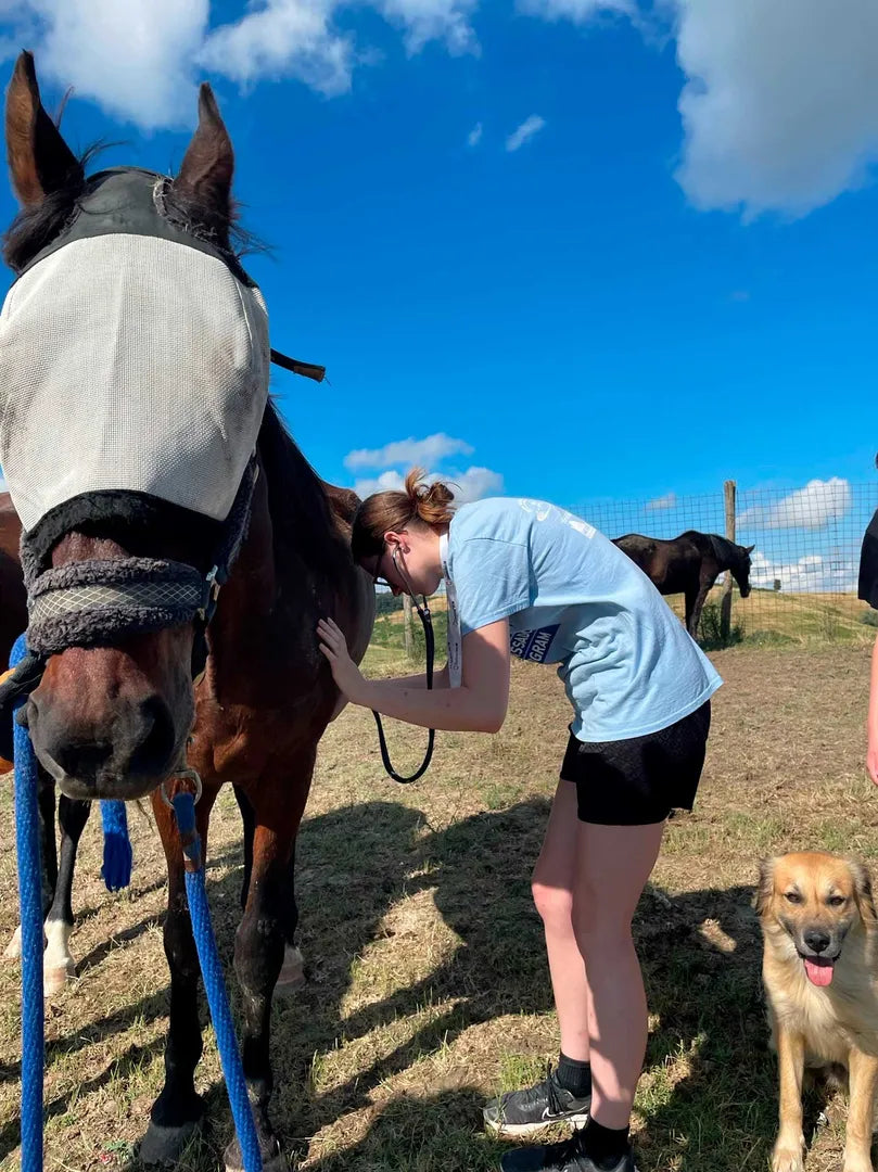 Florence Veterinary Health