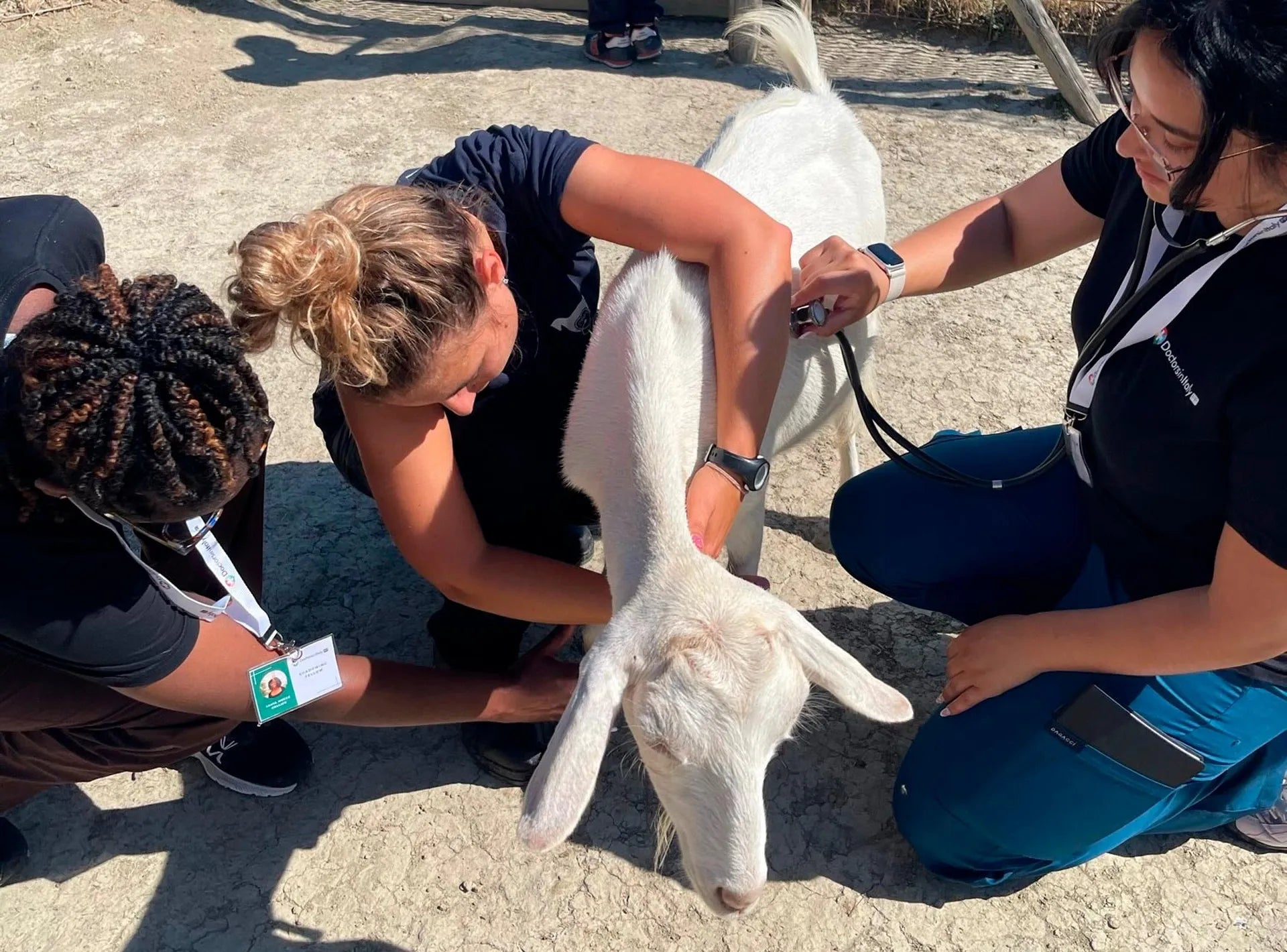 One Health program - Integrated human and animal health approach