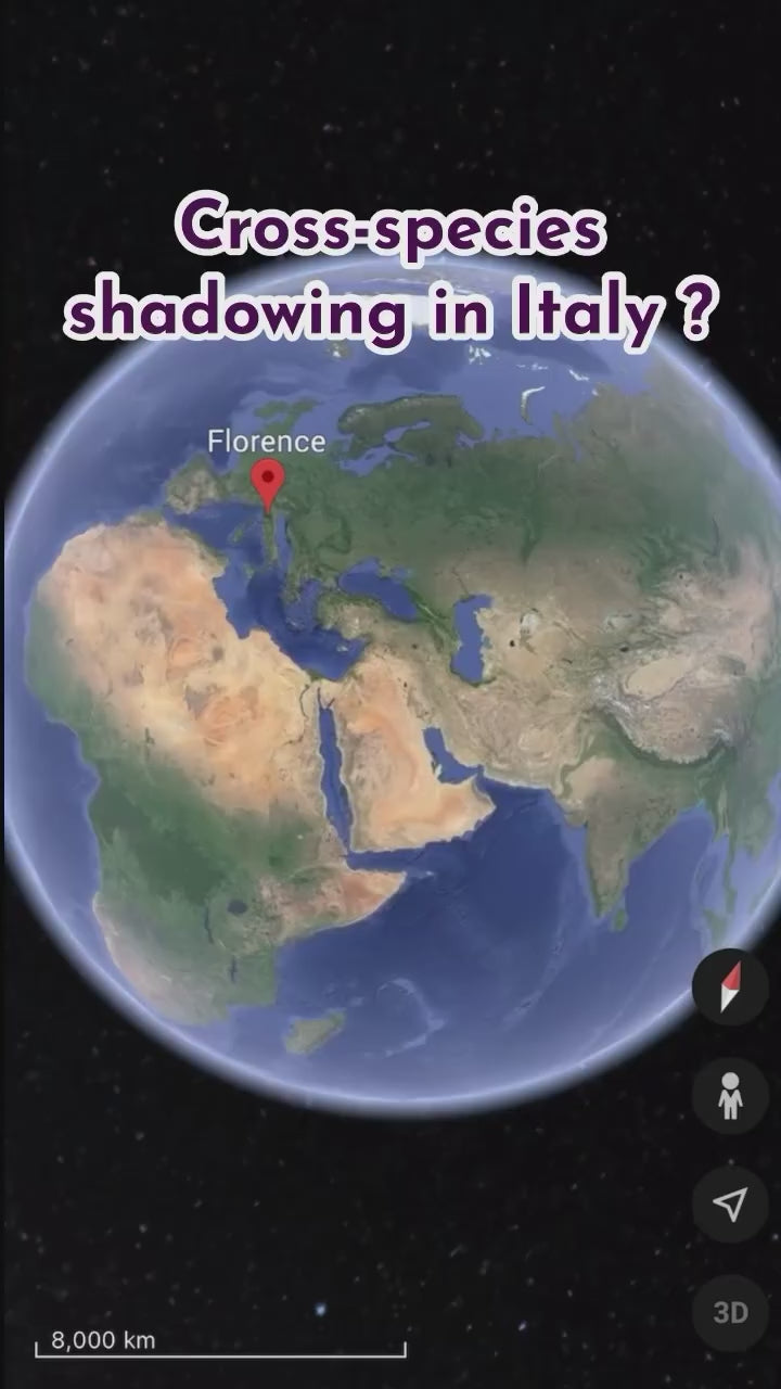 One Health Program - Video