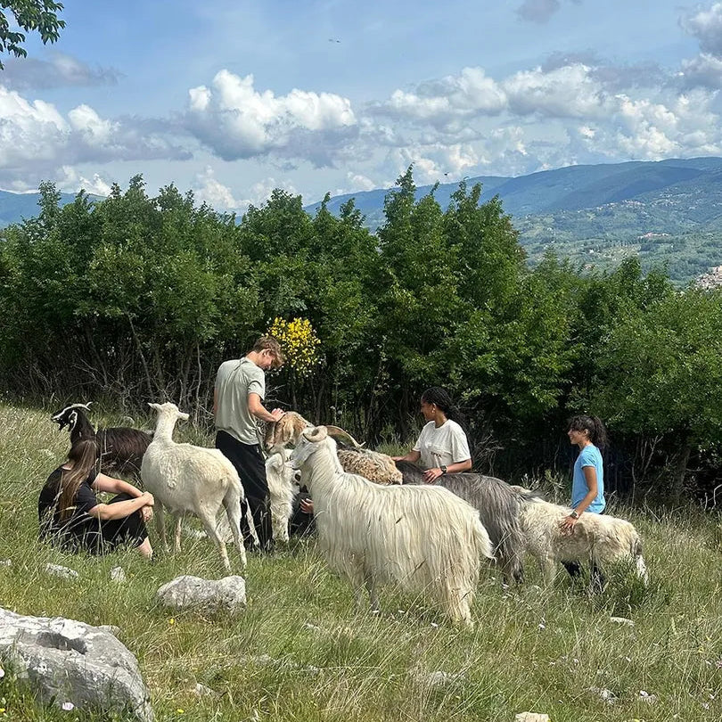 Rome Veterinary Health