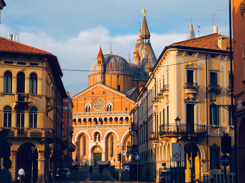 Padua Human Health - Housing 1